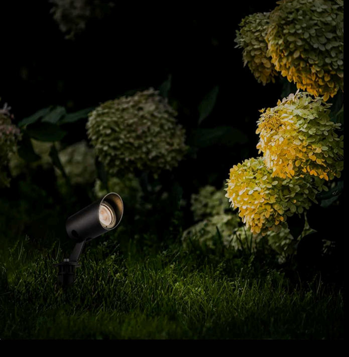 Outdoor Lights
